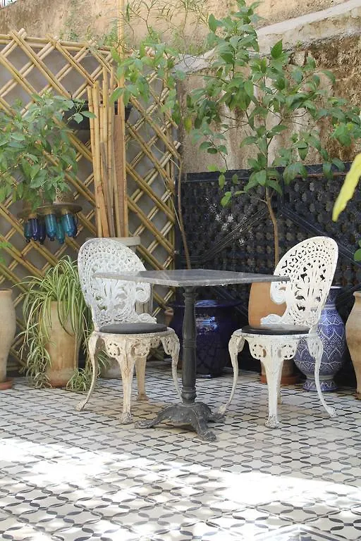 Fes Et Gestes
